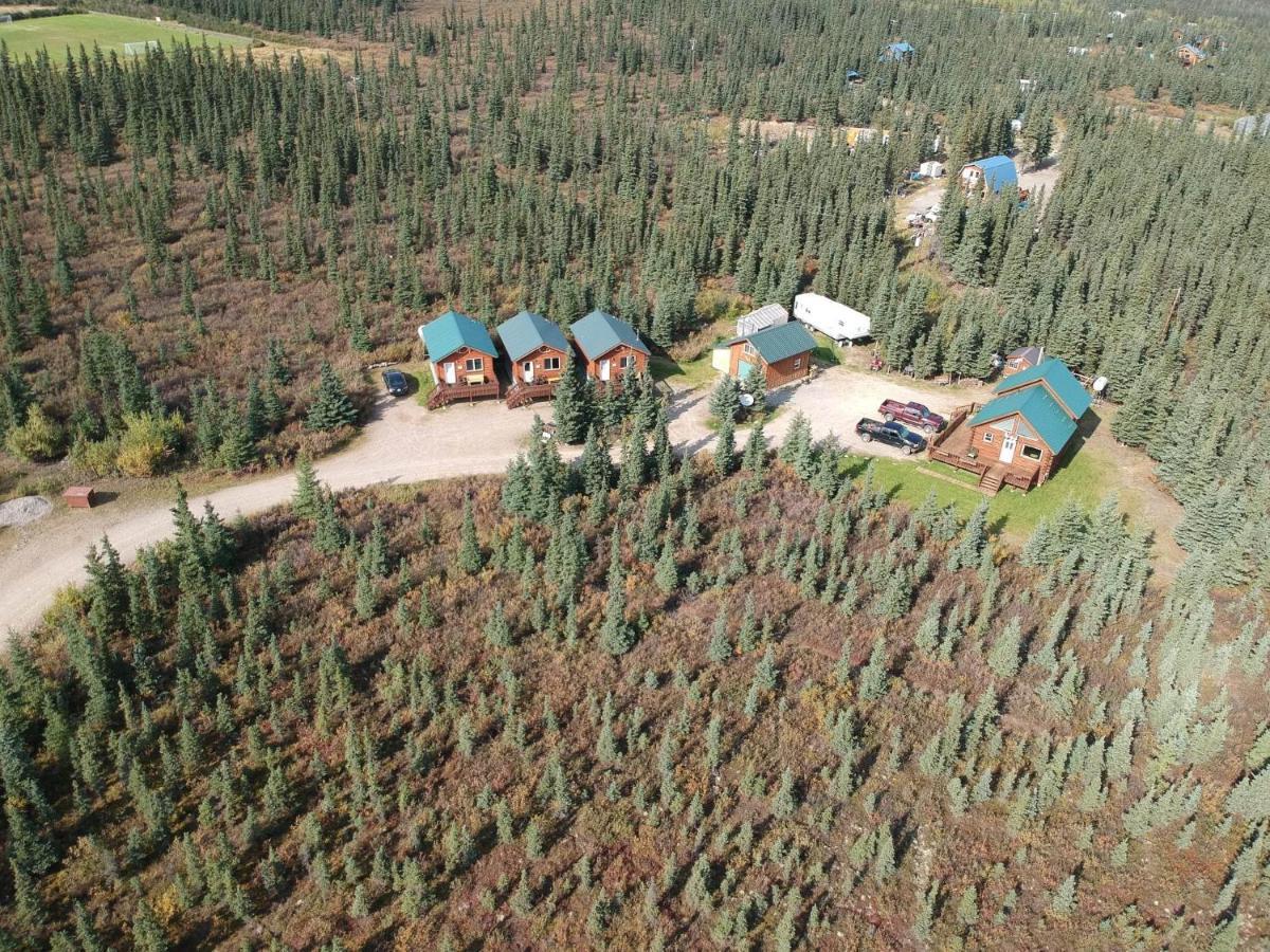 Denali'S Alaskan Spruce Cabins Healy Ngoại thất bức ảnh