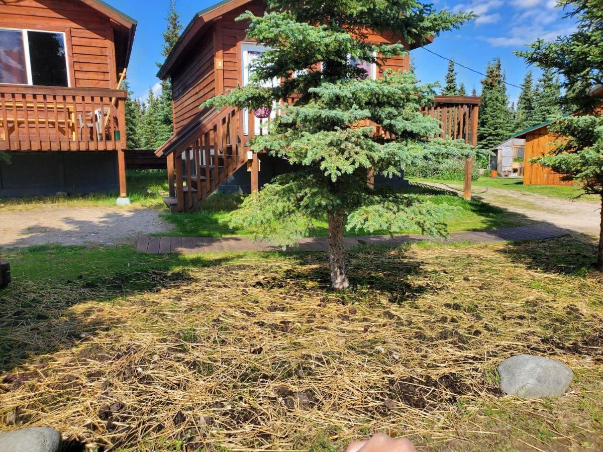 Denali'S Alaskan Spruce Cabins Healy Ngoại thất bức ảnh