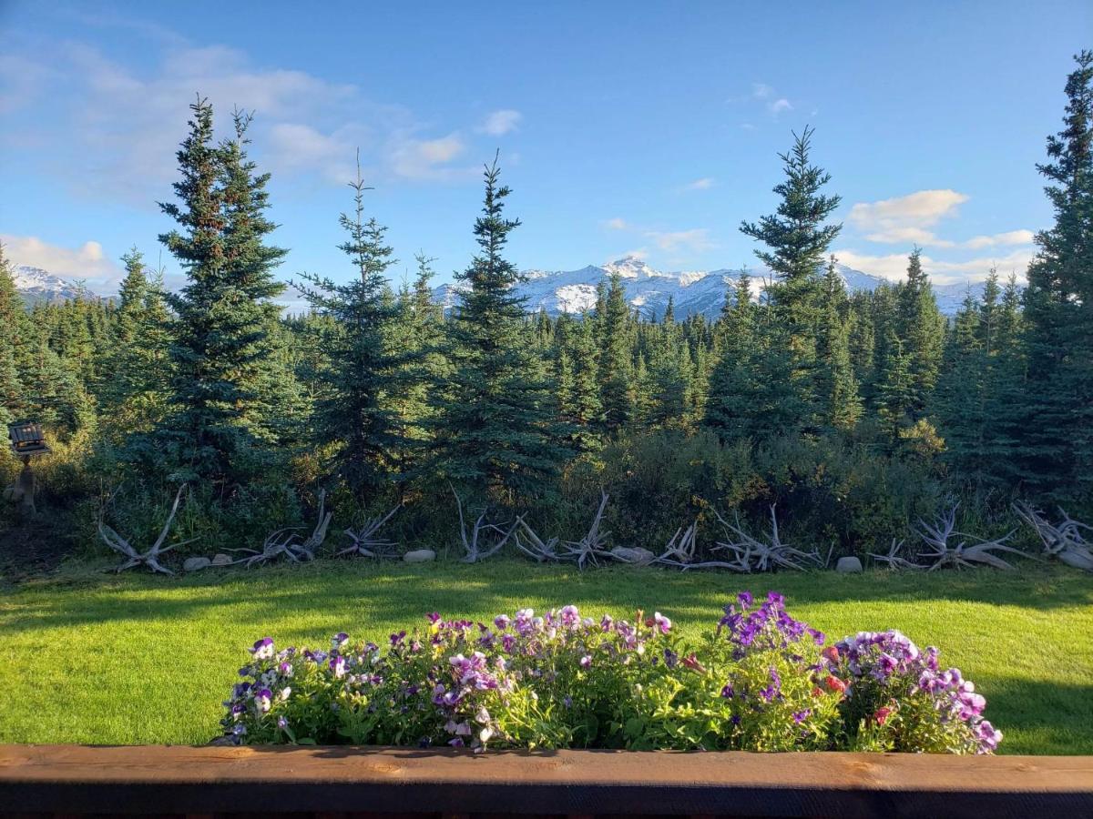 Denali'S Alaskan Spruce Cabins Healy Ngoại thất bức ảnh