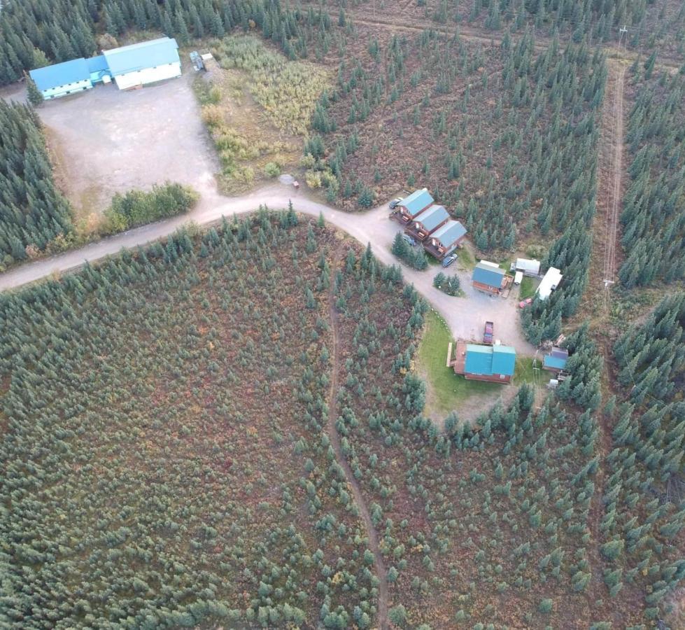 Denali'S Alaskan Spruce Cabins Healy Ngoại thất bức ảnh