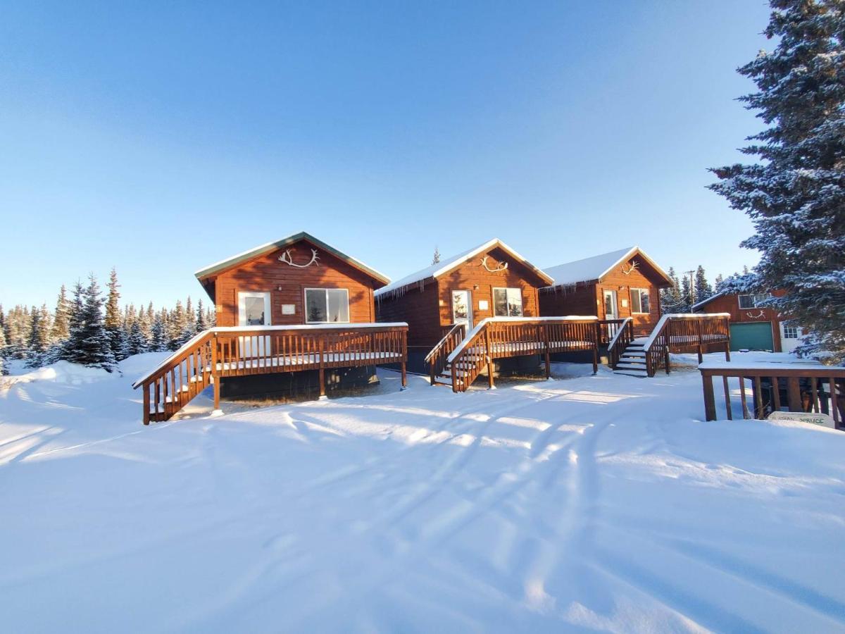 Denali'S Alaskan Spruce Cabins Healy Ngoại thất bức ảnh