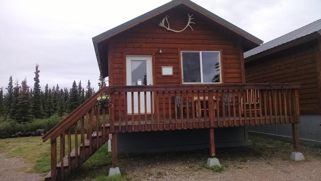 Denali'S Alaskan Spruce Cabins Healy Ngoại thất bức ảnh