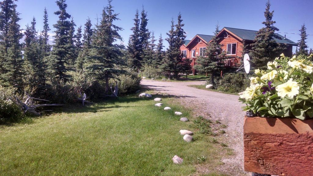 Denali'S Alaskan Spruce Cabins Healy Ngoại thất bức ảnh