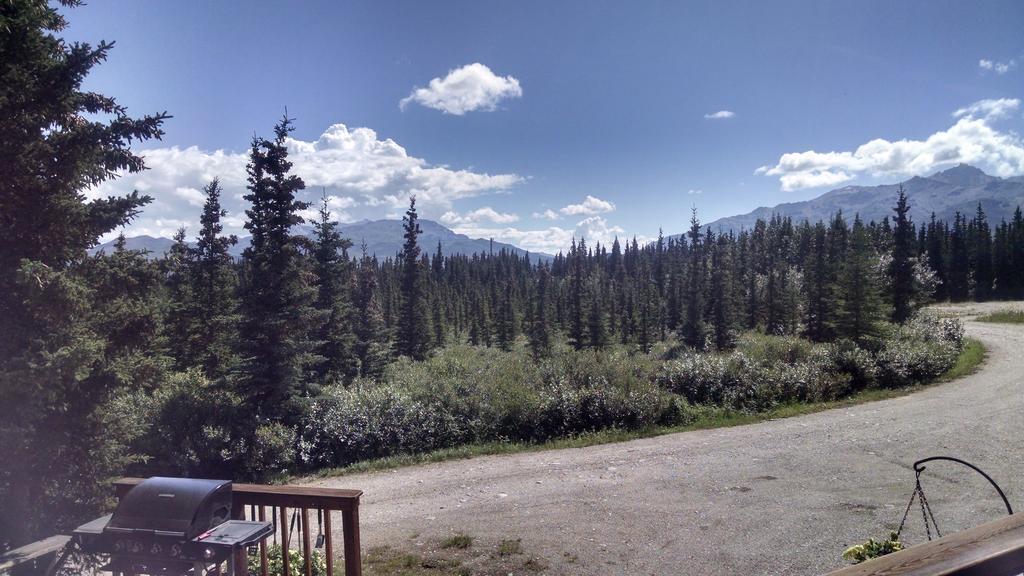 Denali'S Alaskan Spruce Cabins Healy Ngoại thất bức ảnh