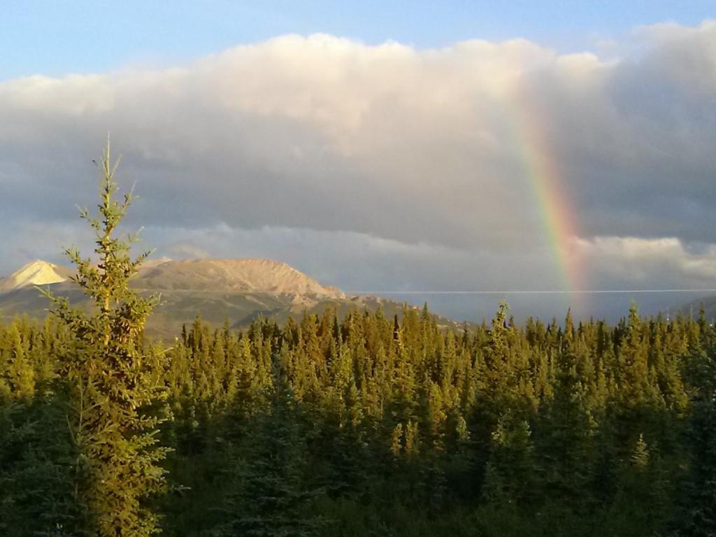 Denali'S Alaskan Spruce Cabins Healy Ngoại thất bức ảnh